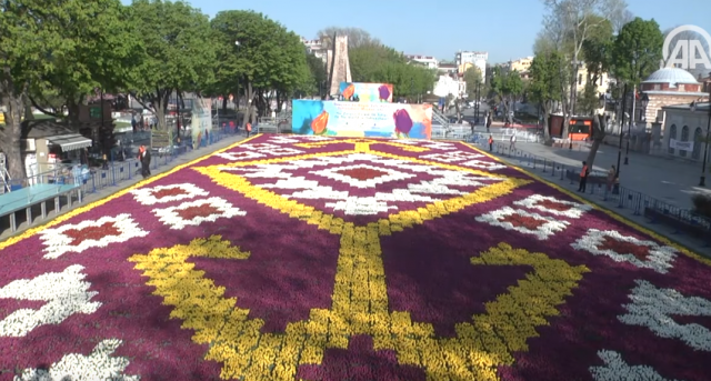 Istanbul krasi najveæi tepih od lala na svetu (VIDEO)